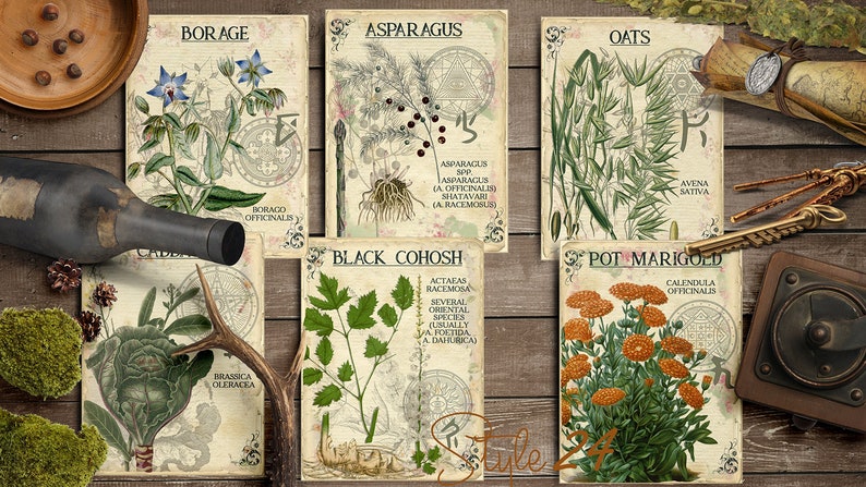 Vol 1 Herbal Index, Double Sided Scrapbook Ephemera 3x4 Journaling Cards,Apothecary, Medicinal Herbal, Herbarium